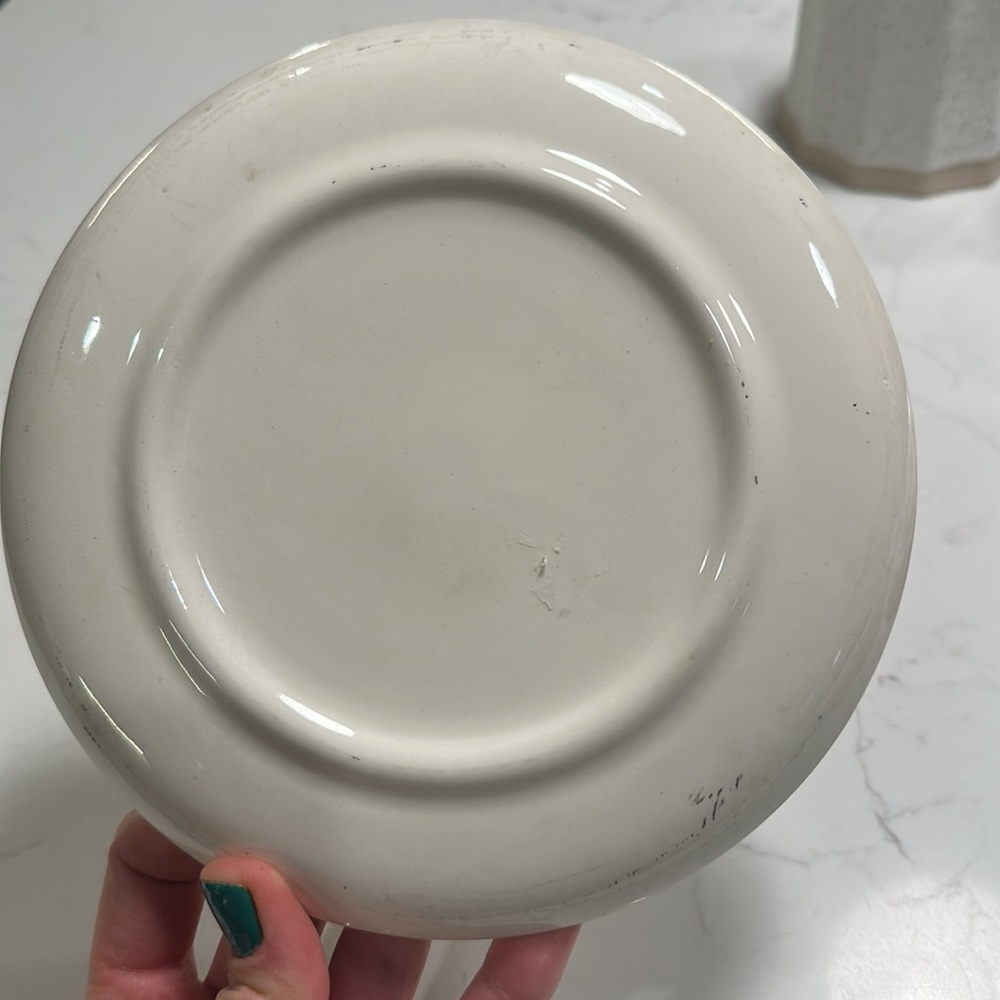 Vintage Colorado Souvenir Plate - Picture 2 of 2